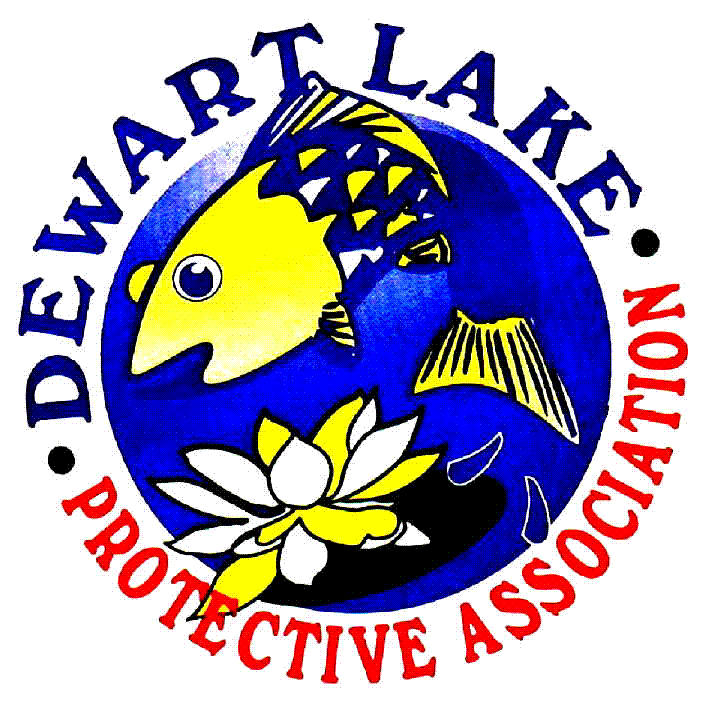 Welcome to the Official Site of the