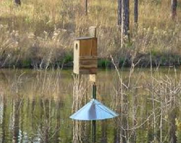 Wood Duck House